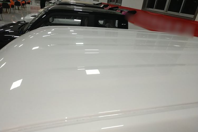 Used  Panda 2024 Panda Mini 200km Endurance Bear
