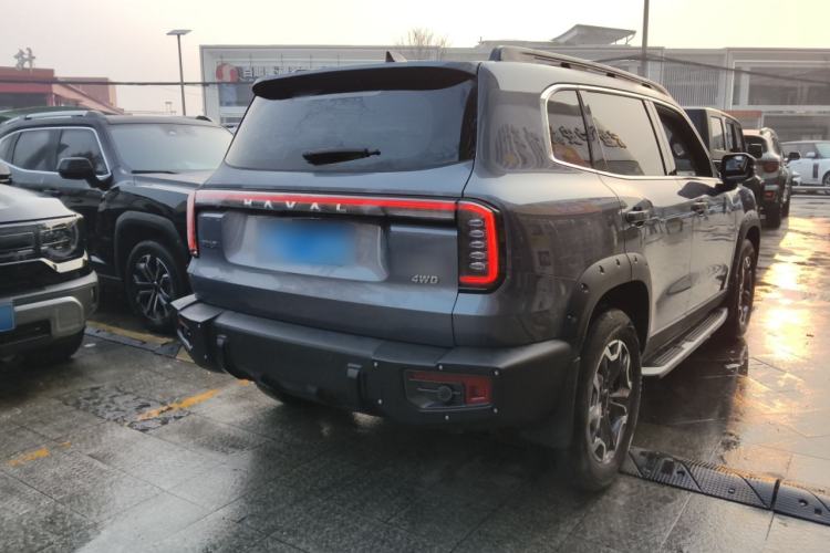 Used Haval DARGO 2024 2.0T DCT Chinese Rural Dog Edition
