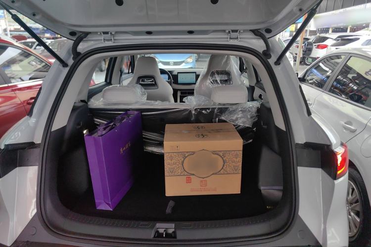 Used BYD Yuan UP 2024 401 km Active Version
