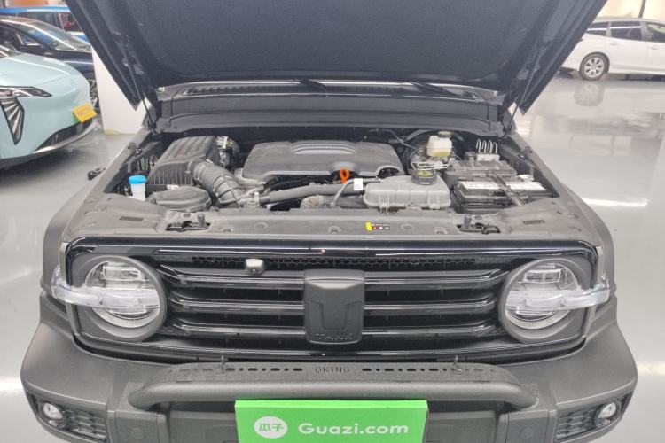 Used Tank 300 2024 2.0T Conqueror