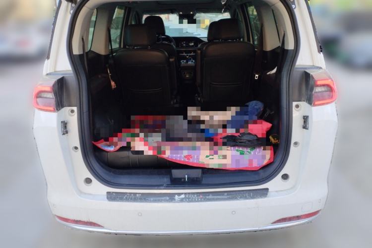 Used GAC Trumpchi M6 2021 PRO 270T DCT Luxury Edition
