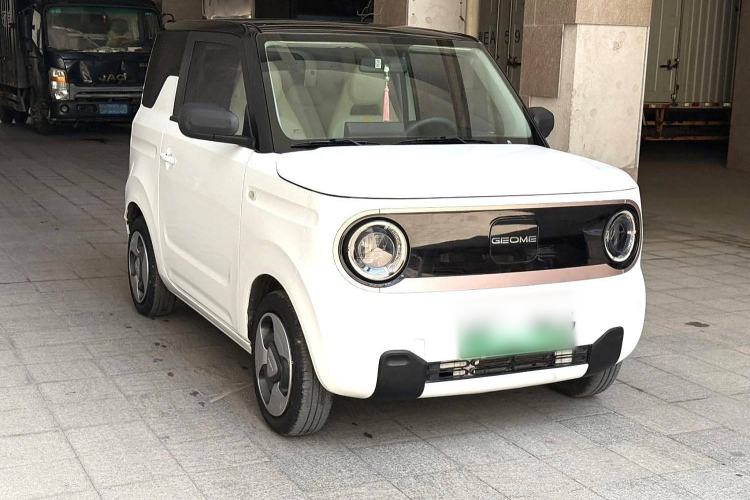 Used  Panda 2023 Panda Mini 200km Dynamic Bear
