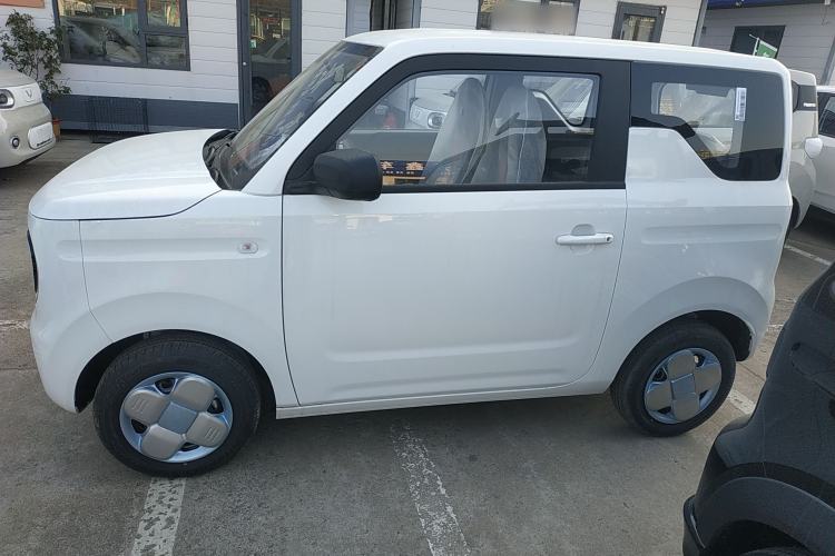 Used  Panda 2024 Panda Mini 200km Endurance Bear
