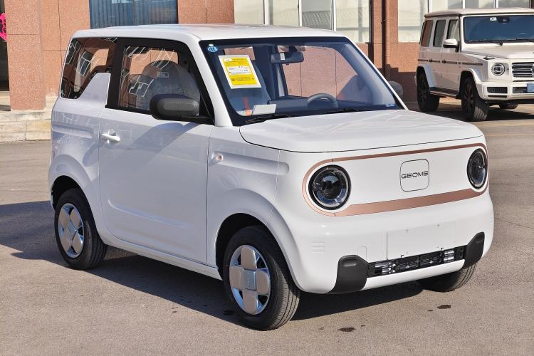 Used  Panda 2024 Panda Mini 200km Endurance Bear
