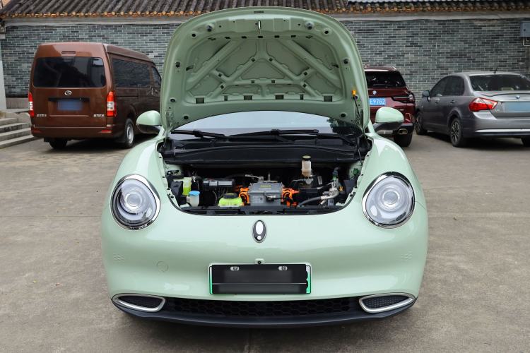 Used ORA Good Cat 2023 401 km Standard Range Luxury Version Lithium Iron Phosphate
