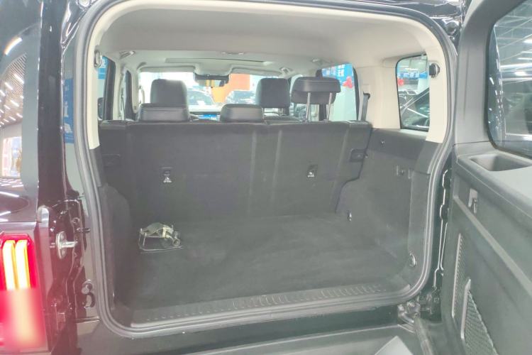 Used Tank 300 2024 2.0T Conqueror