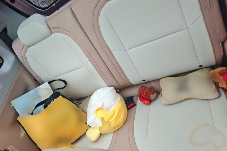 Used  Panda 2023 Panda Mini 200km Dynamic Bear
