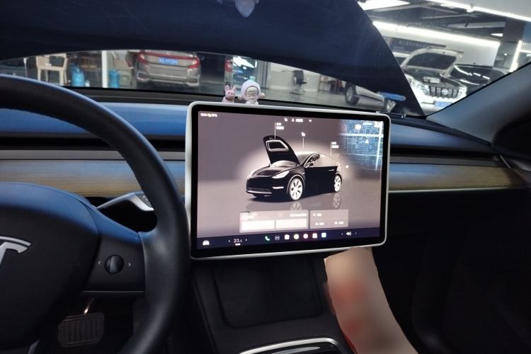 Used Tesla Model Y 2022 Revised Version Long-Range All-Wheel Drive