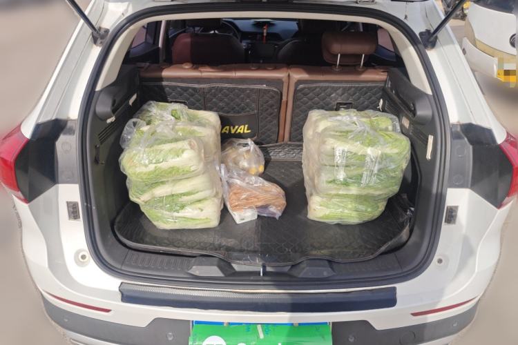 Used Haval H4 2019 1.5 GDIT DCT Ultra-Luxury Smart Connectivity Version China V Standard