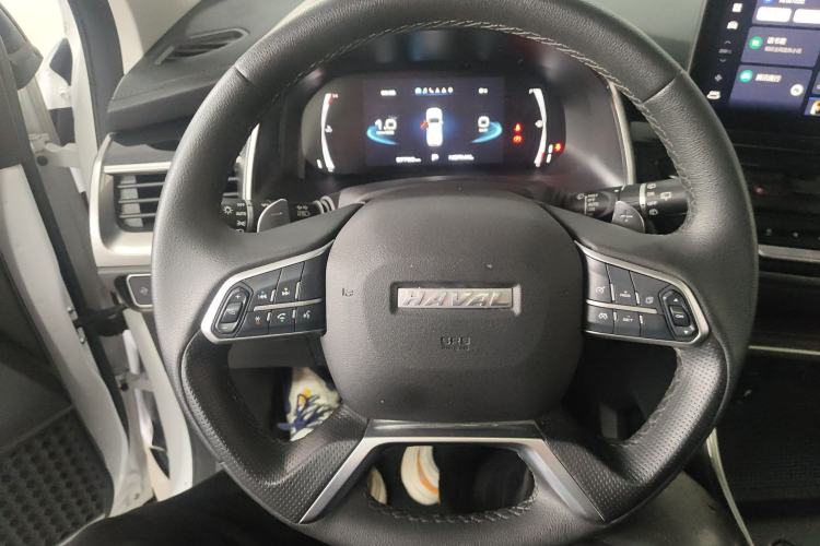 Used Haval H6 2021 National Trend Edition 1.5T Automatic Champion Version