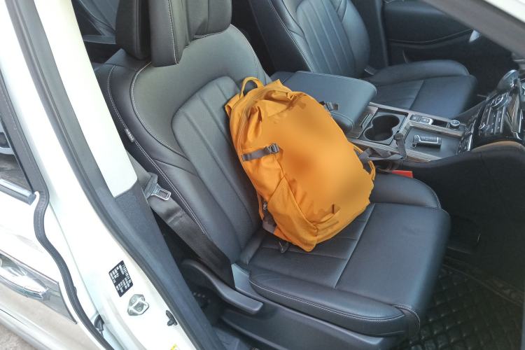 Used GAC Trumpchi M8 2020 Master Edition 390T Deluxe Version
