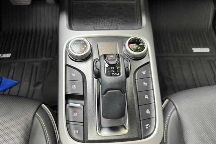 Used Tank 300 2024 2.0T Crosser
