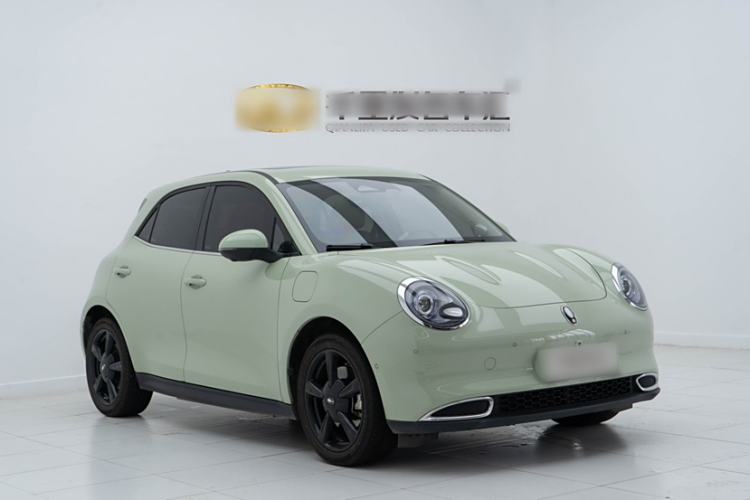 Used ORA Good Cat 2024 501 km Luxury Version
