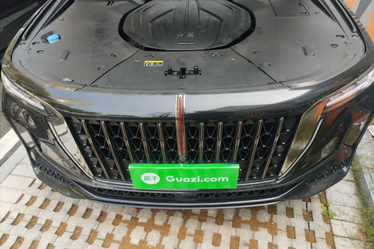 Used Hongqi H9 2024 2.0T Qixiang Private Style Edition
