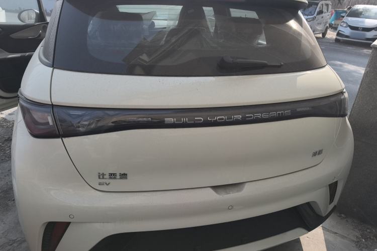 Used BYD Dolphin 2025 420km Free Edition