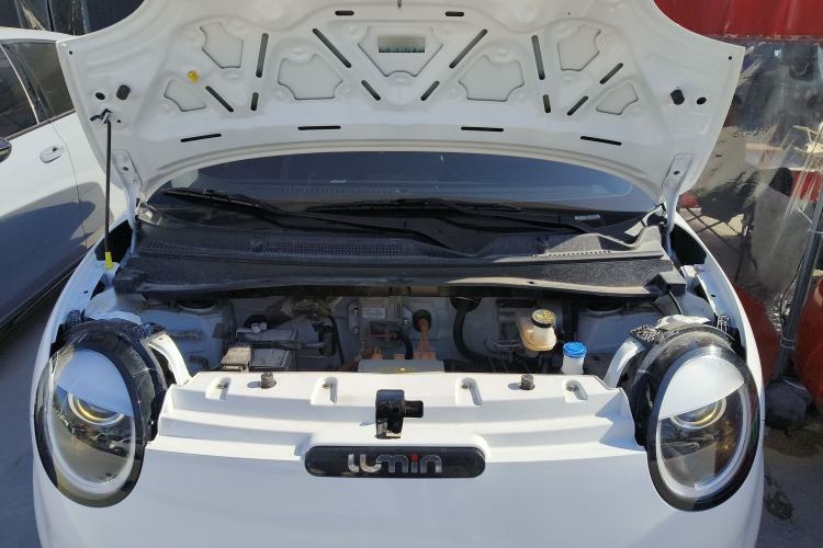 Used  Lumin 2025 205 km Xiangqin Version