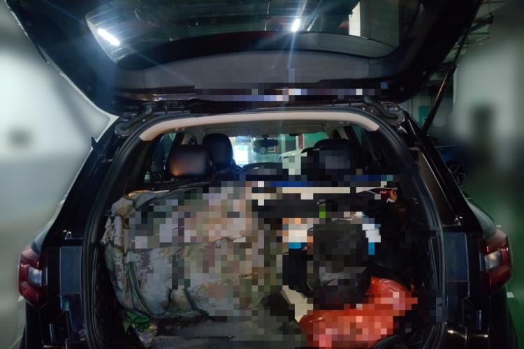 Used Renault Koleos 2017 2.0L Two-Wheel Drive Comfort Edition
