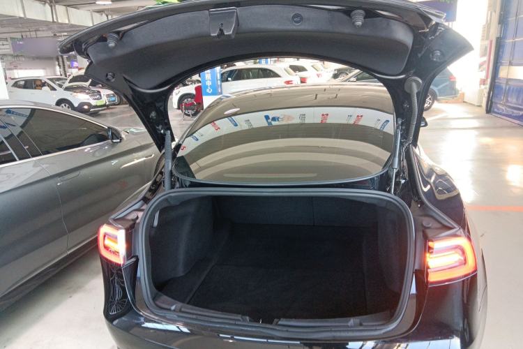 Used Tesla Model 3 2021 Standard Range Rear-Wheel Drive Upgraded Version 3D6
