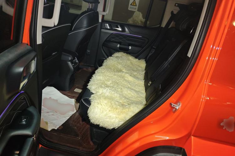 Used Tank 300 2021 City Edition 2.0T—Truly Stylish