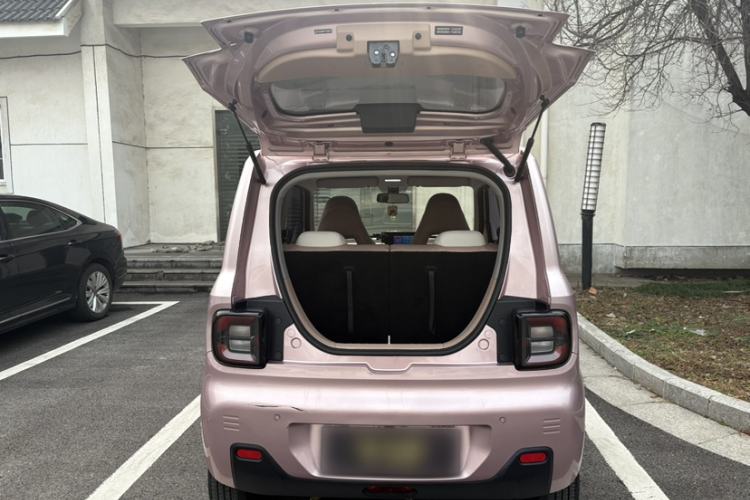 Used  Panda 2023 Panda Mini 200km Endurance Bear