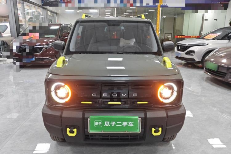 Used  Panda 2024 200km Panda Rider