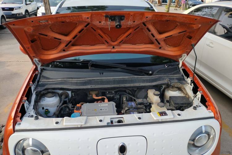 Used ORA Black Cat 2021 351 km Luxury Version
