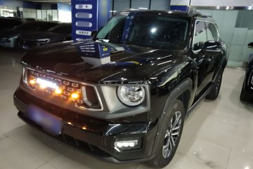 Used Haval H Dog 2023 2.0T Two-Wheel Drive Chaoye Version Plus