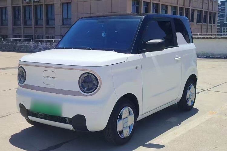 Used  Panda 2023 Panda Mini 200km Endurance Bear
