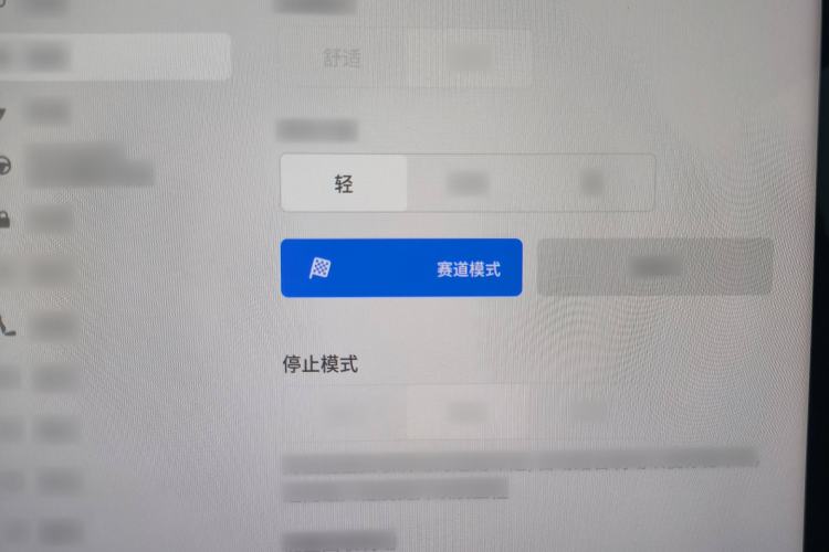 Used Tesla Model Y 2021 Performance High-Performance All-Wheel-Drive Version
