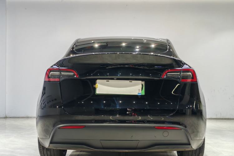 Used Tesla Model Y 2021 Standard Range Rear-Wheel Drive Version

