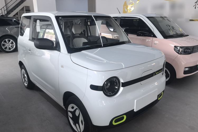 Used  Panda 2025 210 km – Yuanqi Bear
