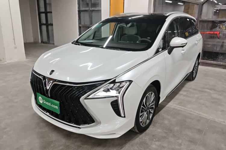 Used FORTHING Yacht 2024 1.5T DCT Guanhai Edition