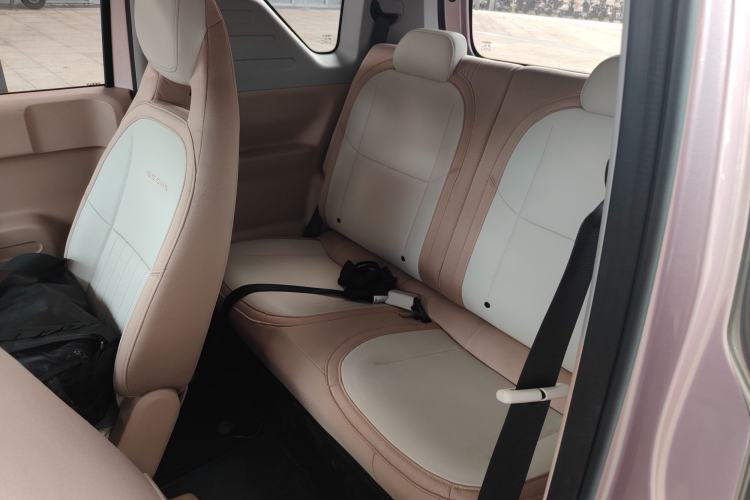 Used  Panda 2023 Panda Mini 200km Endurance Bear