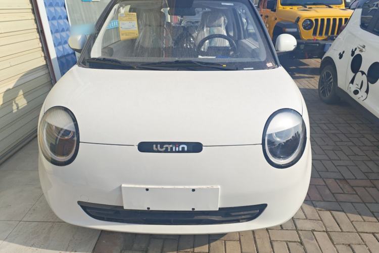 Used Qiyuan Lumin 2025 205 km Xiangqin Version
