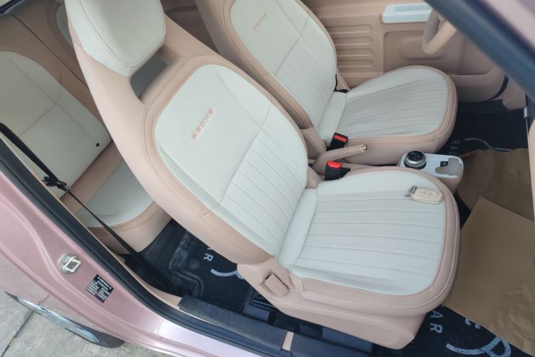 Used  Panda 2023 Panda Mini 200km Endurance Bear
