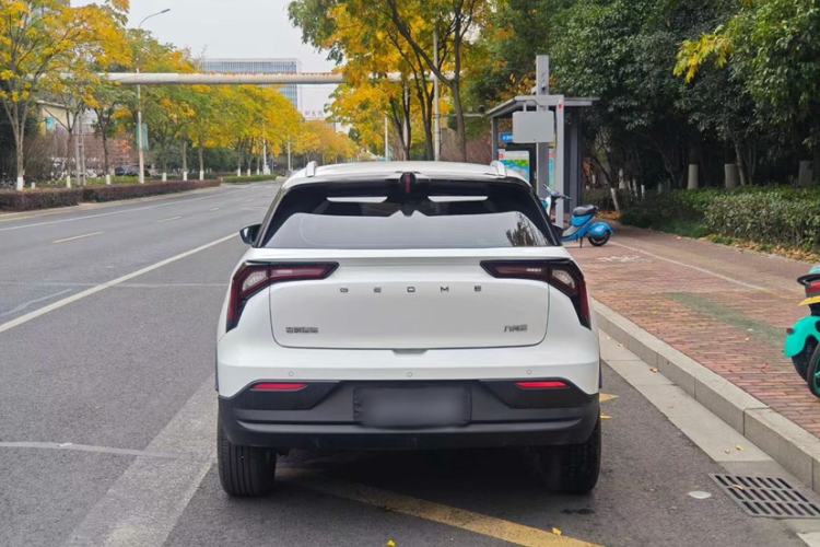 Used Geometry E Firefly 2024 401 km Fluorescent
