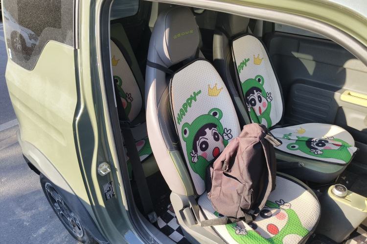 Used  Panda 2024 200km Panda Kart
