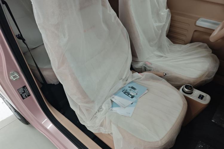 Used  Panda 2024 Panda Mini 200km Endurance Bear