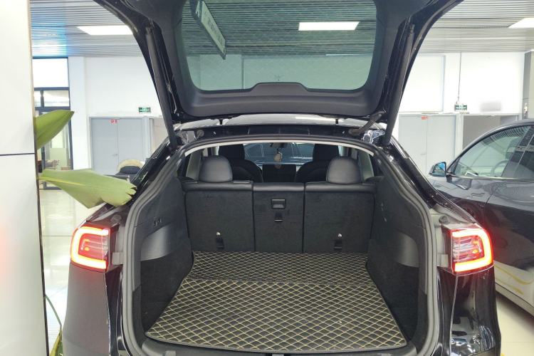 Used Tesla Model Y 2021 Standard Range Rear-Wheel Drive Version
