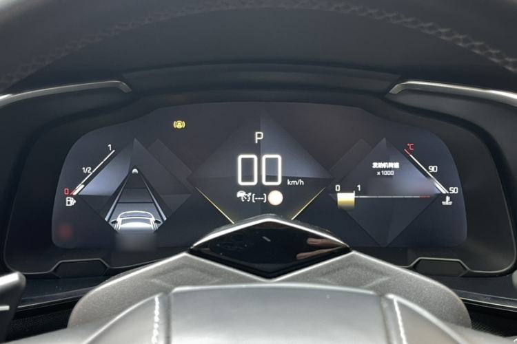 Used  7 2018 45THP Rivoli Pioneer Edition
