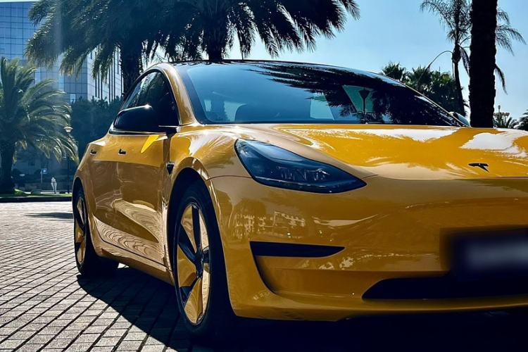 Used Tesla Model 3 2021 Revised Version Standard Range Rear-Wheel Drive Upgraded Edition 3D1