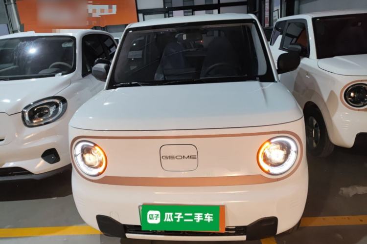 Used  Panda 2024 Panda Mini 200km Endurance Bear
