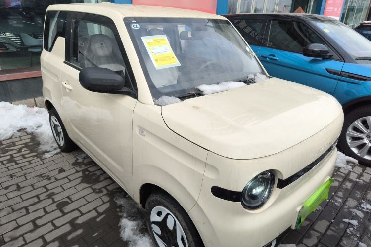 Used  Panda 2025 210 km – Yuanqi Bear