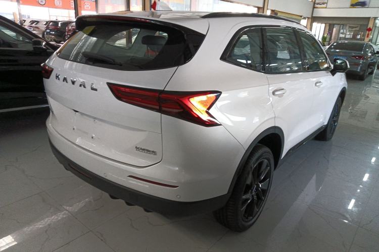 Used Haval H6 2024 1.5T Two-Wheel Drive Pro