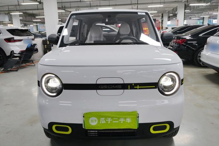 Used  Panda 2025 210 km – Yuanqi Bear

