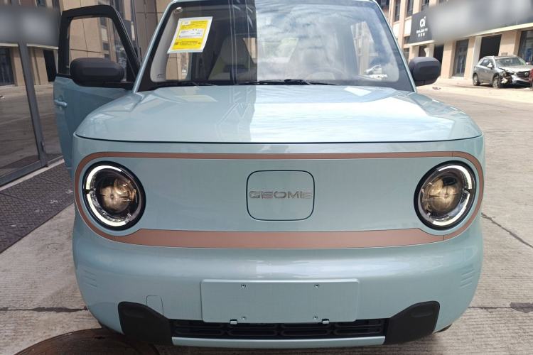 Used  Panda 2024 Panda Mini 200km Endurance Bear
