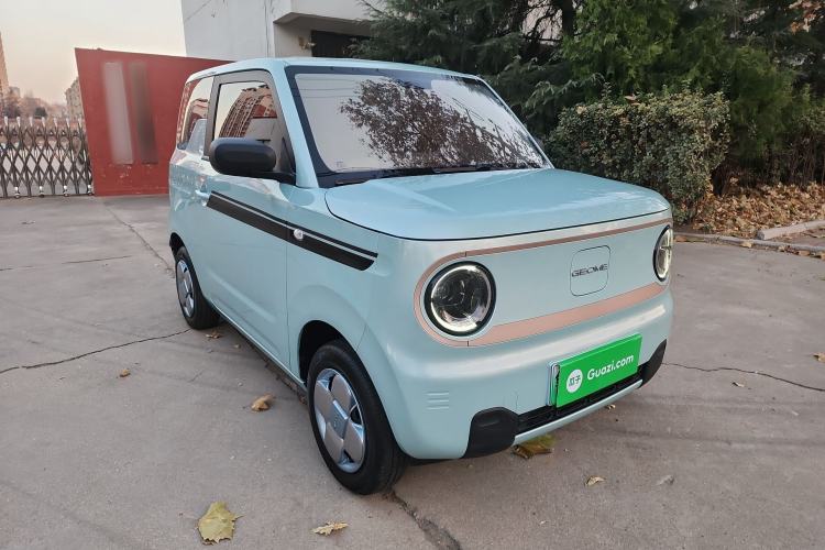 Used  Panda 2024 Panda Mini 200km Endurance Bear