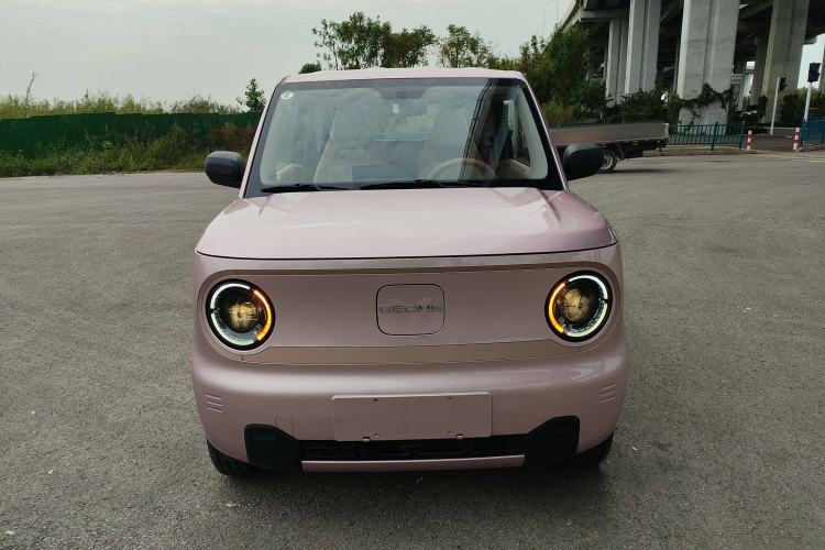 Used  Panda 2024 Panda Mini 200km Longteng PRO Edition
