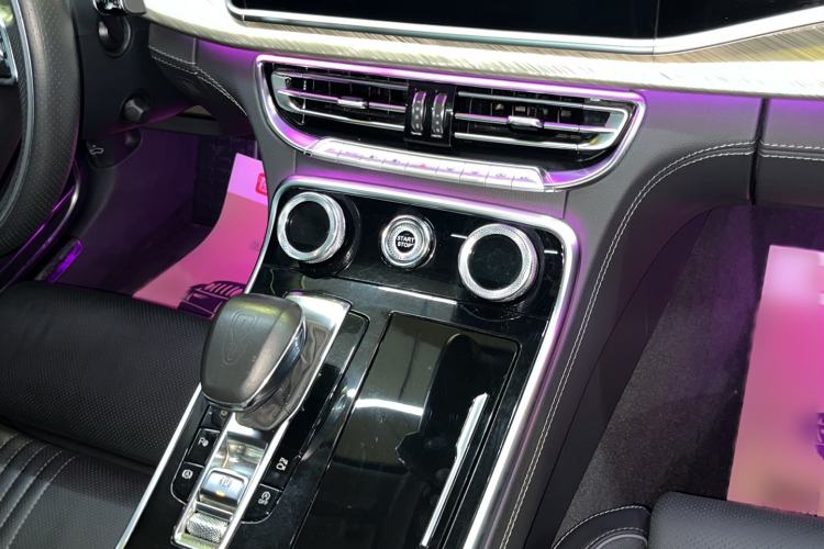 Used Hongqi H9 2020 2.0T Smart Connect Flagship Edition
