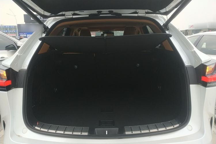 Used Lexus NX 2023 260 Front-Wheel Drive Chuan Yue Edition